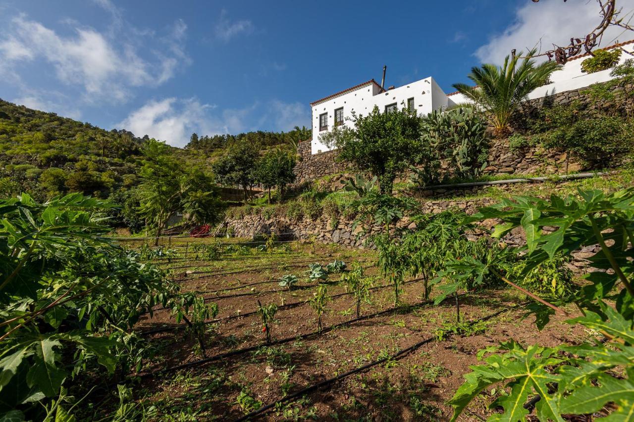 Las Casas Del Chorro Guest House Agulo Bagian luar foto